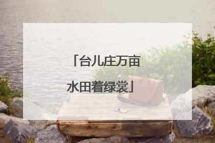 台儿庄万亩水田着绿裳