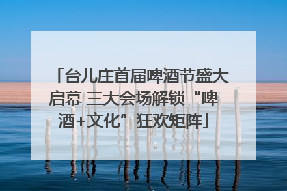 台儿庄首届啤酒节盛大启幕 三大会场解锁“啤酒+文化”狂欢矩阵