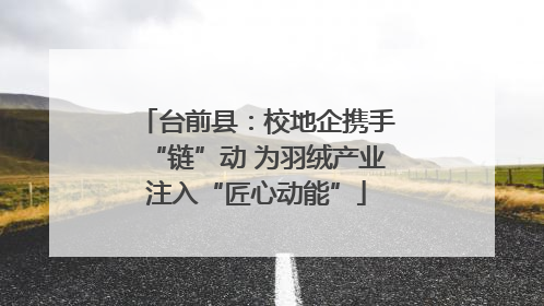 台前县：校地企携手“链”动 为羽绒产业注入“匠心动能”