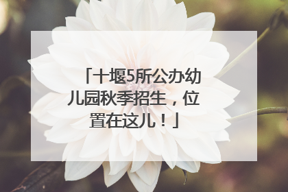 十堰5所公办幼儿园秋季招生，位置在这儿！