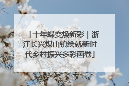 十年蝶变焕新彩｜浙江长兴煤山镇绘就新时代乡村振兴多彩画卷