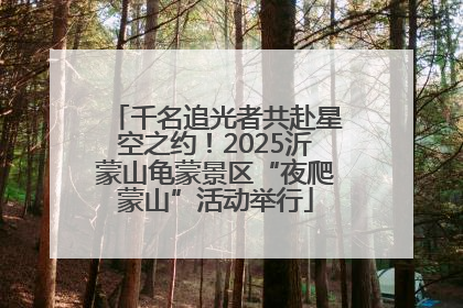 千名追光者共赴星空之约！2025沂蒙山龟蒙景区“夜爬蒙山”活动举行