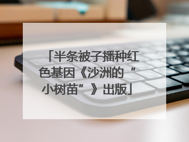 半条被子播种红色基因《沙洲的“小树苗”》出版