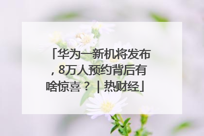 华为一新机将发布，8万人预约背后有啥惊喜？｜热财经