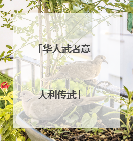 华人武者意大利传武