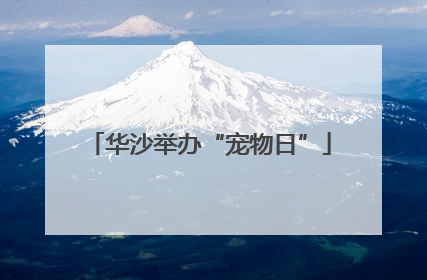 华沙举办“宠物日”