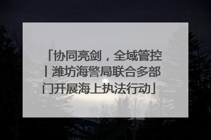 协同亮剑，全域管控丨潍坊海警局联合多部门开展海上执法行动