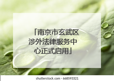 南京市玄武区涉外法律服务中心正式启用