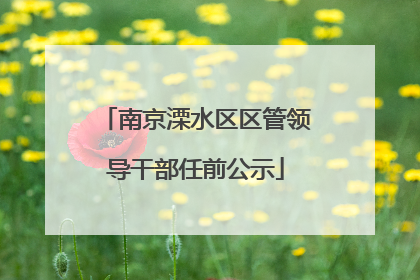 南京溧水区区管领导干部任前公示