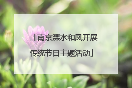 南京溧水和凤开展传统节日主题活动