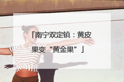 南宁双定镇：黄皮果变“黄金果”