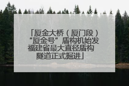 厦金大桥（厦门段）“厦金号”盾构机始发 福建省最大直径盾构隧道正式掘进