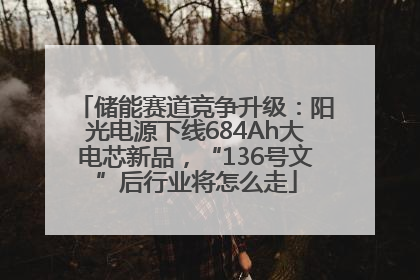 储能赛道竞争升级：阳光电源下线684Ah大电芯新品，“136号文”后行业将怎么走