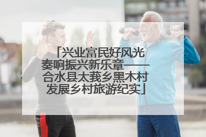 兴业富民好风光 奏响振兴新乐章——合水县太莪乡黑木村发展乡村旅游纪实