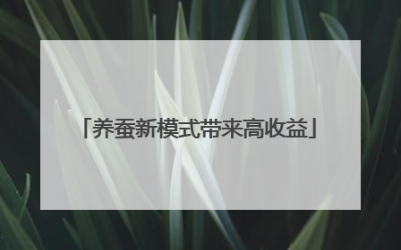 养蚕新模式带来高收益
