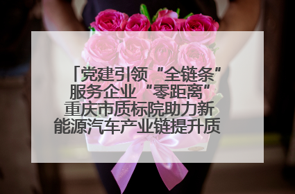 党建引领“全链条” 服务企业“零距离” 重庆市质标院助力新能源汽车产业链提升质量管理水平