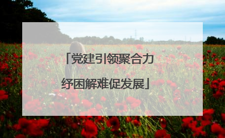 党建引领聚合力 纾困解难促发展