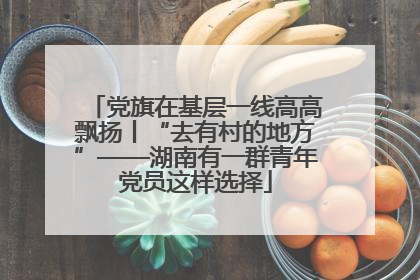 党旗在基层一线高高飘扬丨“去有村的地方”——湖南有一群青年党员这样选择