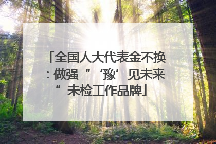 全国人大代表金不换：做强“‘豫’见未来”未检工作品牌