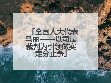 全国人大代表马丽——以司法裁判为引领做实定分止争