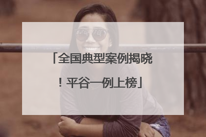 全国典型案例揭晓！平谷一例上榜