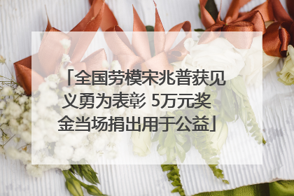 全国劳模宋兆普获见义勇为表彰 5万元奖金当场捐出用于公益