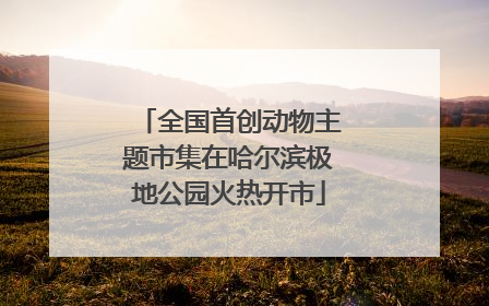 全国首创动物主题市集在哈尔滨极地公园火热开市