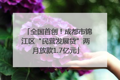 全国首创！成都市锦江区“民营发展贷”两月放款1.7亿元