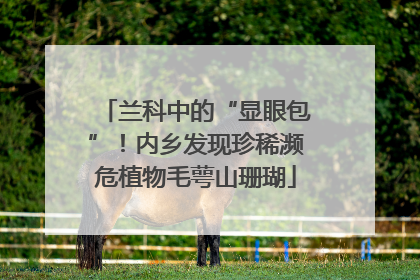 兰科中的“显眼包”！内乡发现珍稀濒危植物毛萼山珊瑚
