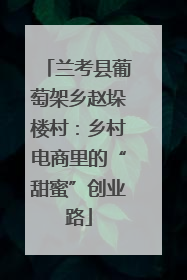 兰考县葡萄架乡赵垛楼村：乡村电商里的“甜蜜”创业路