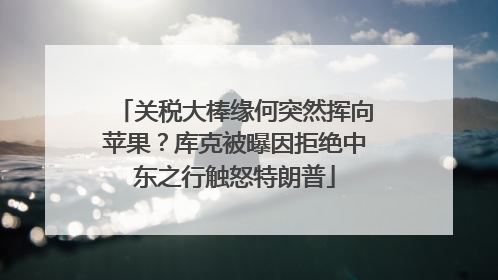 关税大棒缘何突然挥向苹果？库克被曝因拒绝中东之行触怒特朗普