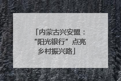 内蒙古兴安盟：“阳光银行”点亮乡村振兴路