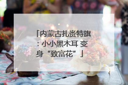 内蒙古扎赉特旗：小小黑木耳 变身“致富花”