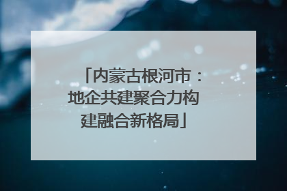 内蒙古根河市：地企共建聚合力构建融合新格局