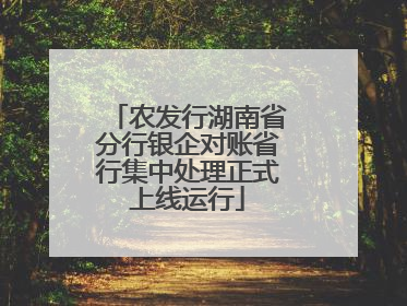 农发行湖南省分行银企对账省行集中处理正式上线运行