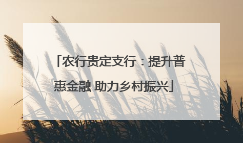 农行贵定支行：提升普惠金融 助力乡村振兴