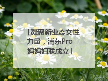 凝聚新业态女性力量，浦东Pro妈妈妇联成立