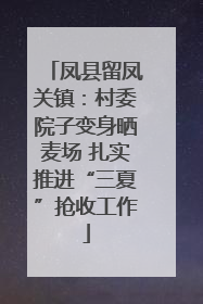凤县留凤关镇：村委院子变身晒麦场 扎实推进“三夏”抢收工作