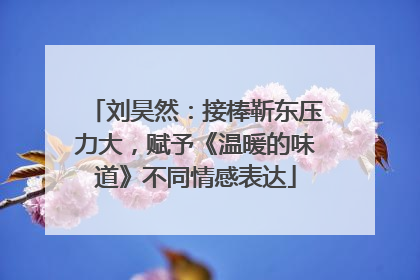 刘昊然：接棒靳东压力大，赋予《温暖的味道》不同情感表达