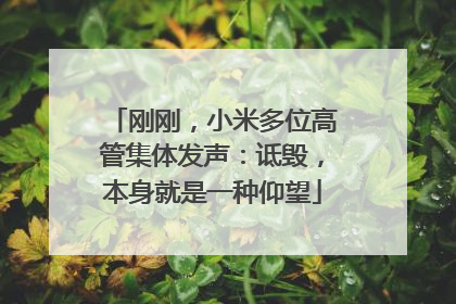 刚刚，小米多位高管集体发声：诋毁，本身就是一种仰望