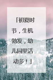 初夏时节，生机勃发，幼儿园里活动多！