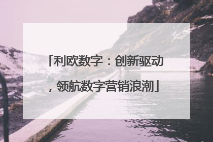 利欧数字：创新驱动，领航数字营销浪潮