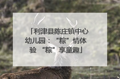 利津县陈庄镇中心幼儿园：“粽”情体验 “粽”享童趣