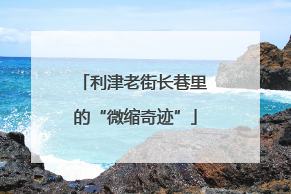 利津老街长巷里的“微缩奇迹”