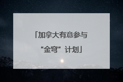 加拿大有意参与“金穹”计划
