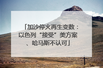 加沙停火再生变数：以色列“接受”美方案、哈马斯不认可
