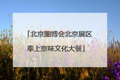 北京图博会北京展区奉上京味文化大餐