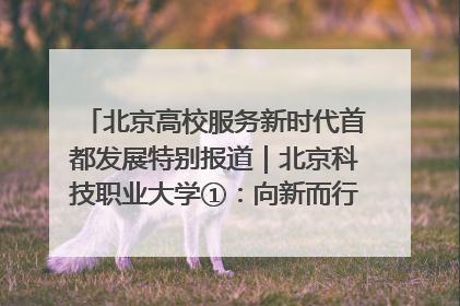 北京高校服务新时代首都发展特别报道｜北京科技职业大学①：向新而行，为首都低空经济发展提供“即战力”