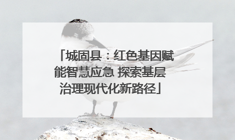 城固县：红色基因赋能智慧应急 探索基层治理现代化新路径