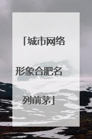 城市网络形象合肥名列前茅